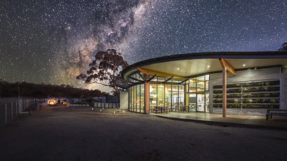 A modern building with glass walls under a star-filled sky, surrounded by trees and a small group of people gathered around a campfire nearby.