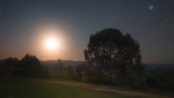 A moonlit landscape with a brightly shining moon, stars twinkling in the sky, and a large tree silhouette beside a small building.