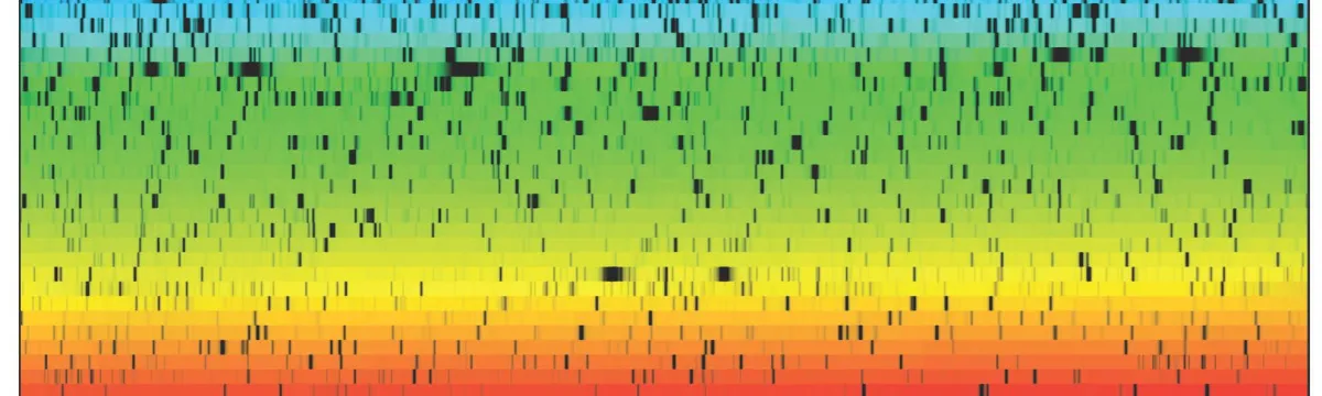 The colourful spectra taken at Siding Spring Observatory with the element barcode of the pointer stars Alpha Centauri