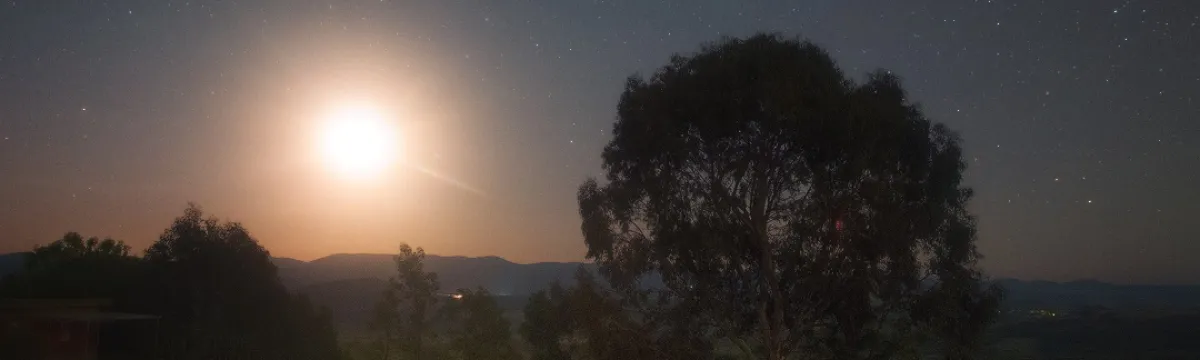 A moonlit landscape with a brightly shining moon, stars twinkling in the sky, and a large tree silhouette beside a small building.
