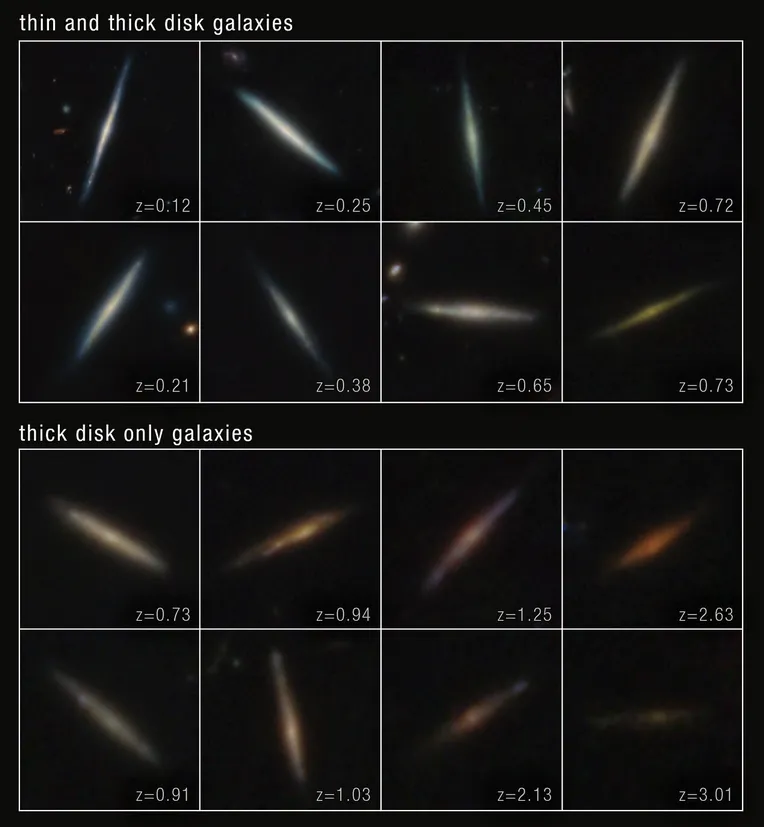 Disc galaxies: thick and thin