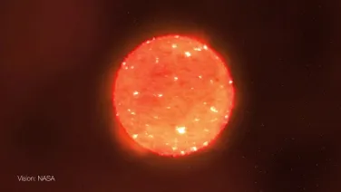 Astronomers witness death throes of a cocooned star