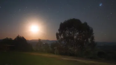 A moonlit landscape with a brightly shining moon, stars twinkling in the sky, and a large tree silhouette beside a small building.